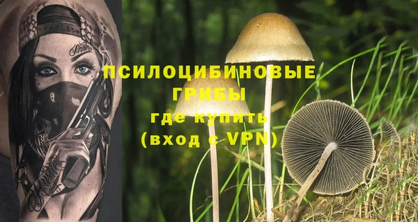 ECSTASY Алексеевка