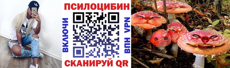 Галлюциногенные грибы MAGIC MUSHROOMS  сколько стоит  Спасск-Рязанский 